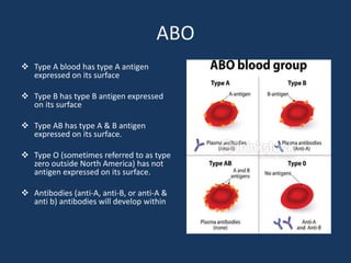 ABO
 Type A blood has type A antigen
expressed on its surface
 Type B has type B antigen expressed
on its surface
 Type AB has type A & B antigen
expressed on its surface.
 Type O (sometimes referred to as type
zero outside North America) has not
antigen expressed on its surface.
 Antibodies (anti-A, anti-B, or anti-A &
anti b) antibodies will develop within
 