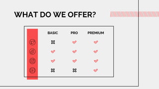 WHAT DO WE OFFER?
BASIC PRO PREMIUM
 