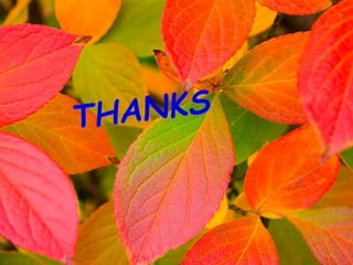 Mass media in education