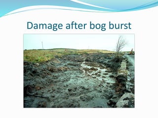 Damage after bog burst
 