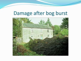 Damage after bog burst
 