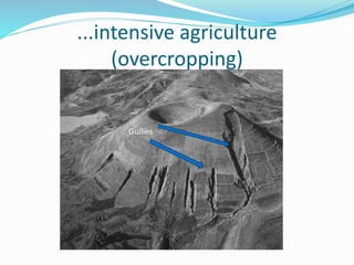 ...intensive agriculture
(overcropping)
Gullies
 