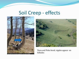 Soil Creep - effects
Trees and Poles bend, ripples appear on
hillsides
 