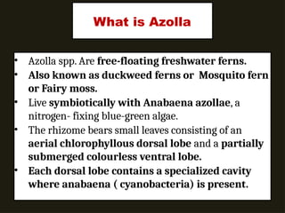 Azolla mass production unit (AKSHAR).pptx