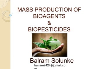 MASS PRODUCTION OF
BIOAGENTS
&
BIOPESTICIDES
Balram Solunke
balram2424@gmail.co
 