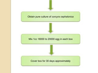 production pesticides biopesticides