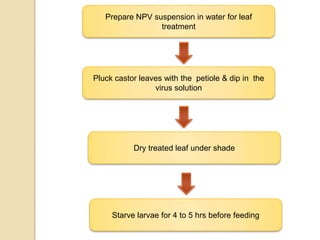 pesticides biopesticides