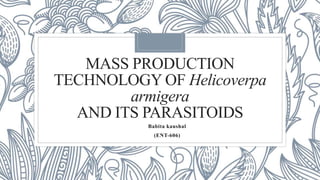 MASS PRODUCTION
TECHNOLOGY OF Helicoverpa
armigera
AND ITS PARASITOIDS
Babita kaushal
(ENT-606)
 