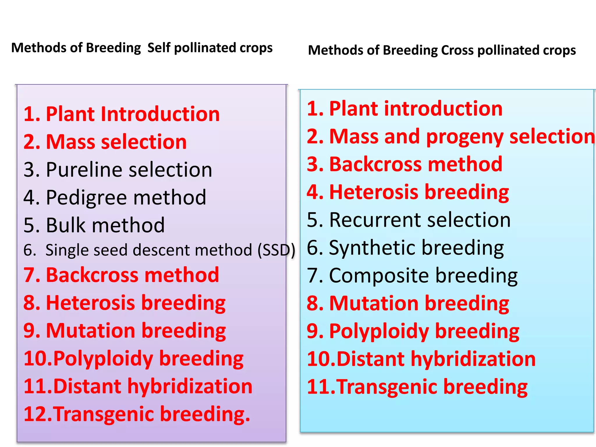 Mass selection 21.05.2021