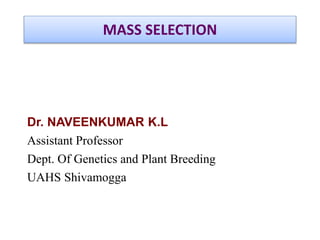 Dr. NAVEENKUMAR K.L
Assistant Professor
Dept. Of Genetics and Plant Breeding
UAHS Shivamogga
MASS SELECTION
 