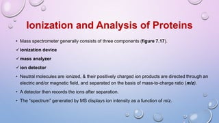 Ionization and Analysis of Proteins
• Mass spectrometer generally consists of three components (figure 7.17).
ionization device
mass analyzer
ion detector
• Neutral molecules are ionized, & their positively charged ion products are directed through an
electric and/or magnetic field, and separated on the basis of mass-to-charge ratio (m/z).
• A detector then records the ions after separation.
• The “spectrum” generated by MS displays ion intensity as a function of m/z.
 