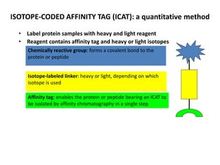 ISOTOPE-CODED AFFINITY TAG (ICAT): a quantitative method
• Label protein samples with heavy and light reagent
• Reagent contains affinity tag and heavy or light isotopes
Chemically reactive group: forms a covalent bond to the
protein or peptide
Isotope-labeled linker: heavy or light, depending on which
isotope is used
Affinity tag: enables the protein or peptide bearing an ICAT to
be isolated by affinity chromatography in a single step
 
