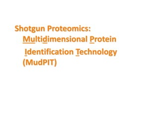 Shotgun Proteomics:
Multidimensional Protein
Identification Technology
(MudPIT)
 