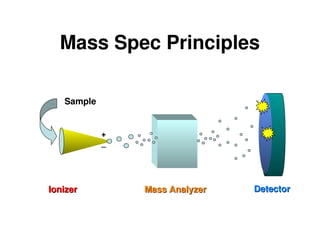 Mass Spectrometry Methods Theory lecture note .ppt