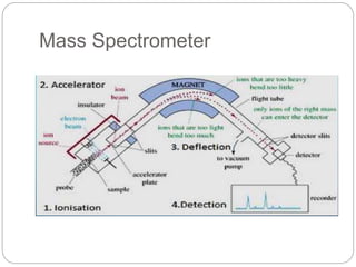 Mass Spectrometer
 