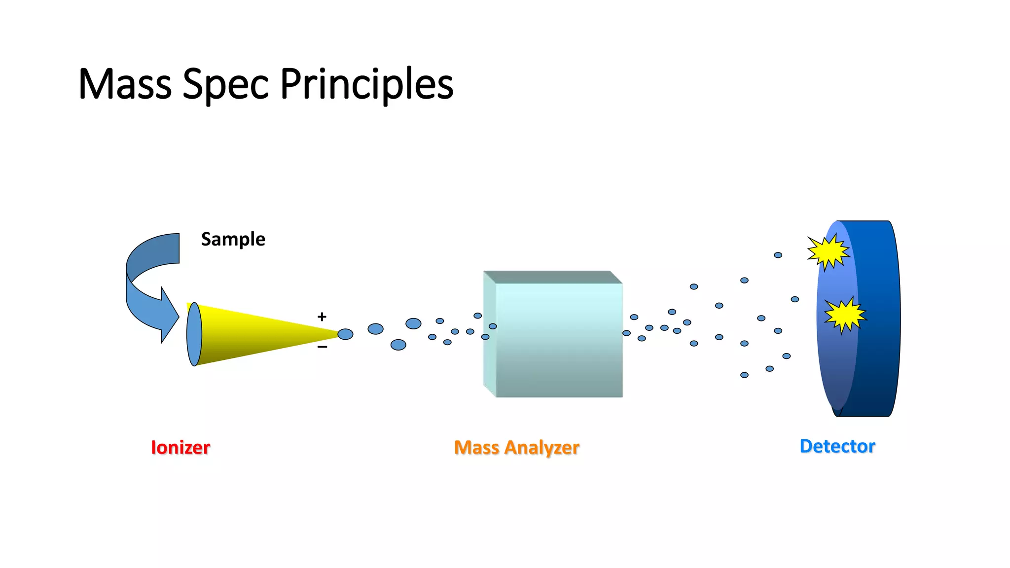 Mass Spec Principles 
Sample 
Ionizer 
+ 
_ 
Mass Analyzer Detector 
 