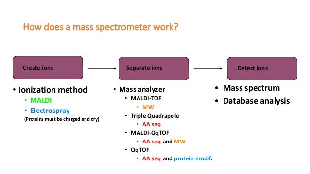 mass spectroscopy how does a mass spectrometer work