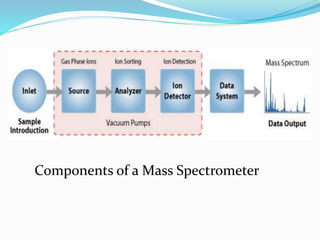 Components of a Mass Spectrometer 
 