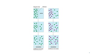 Comprehensive Overview of Mass Transfer and Diffusion Principles in ...