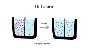 Comprehensive Overview of Mass Transfer and Diffusion Principles in ...