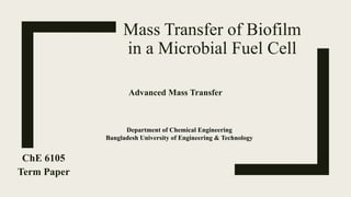 Mass Transfer of Biofilm
in a Microbial Fuel Cell
ChE 6105
Term Paper
Advanced Mass Transfer
Department of Chemical Engineering
Bangladesh University of Engineering & Technology
 