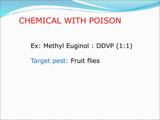 CHEMICAL WITH POISON
Ex: Methyl Euginol : DDVP (1:1)
Target pest: Fruit flies
 