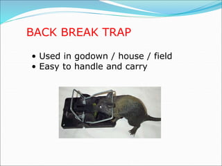 BACK BREAK TRAP
• Used in godown / house / field
• Easy to handle and carry
 