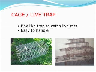 CAGE / LIVE TRAP
• Box like trap to catch live rats
• Easy to handle
 