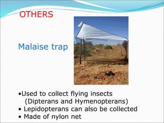 OTHERS
Malaise trap
•Used to collect flying insects
(Dipterans and Hymenopterans)
• Lepidopterans can also be collected
• Made of nylon net
 