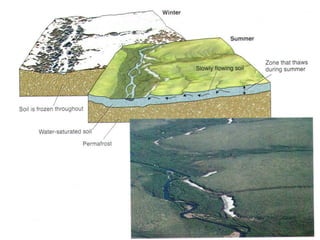 Mass wasting - 2, types, classification.ppt
