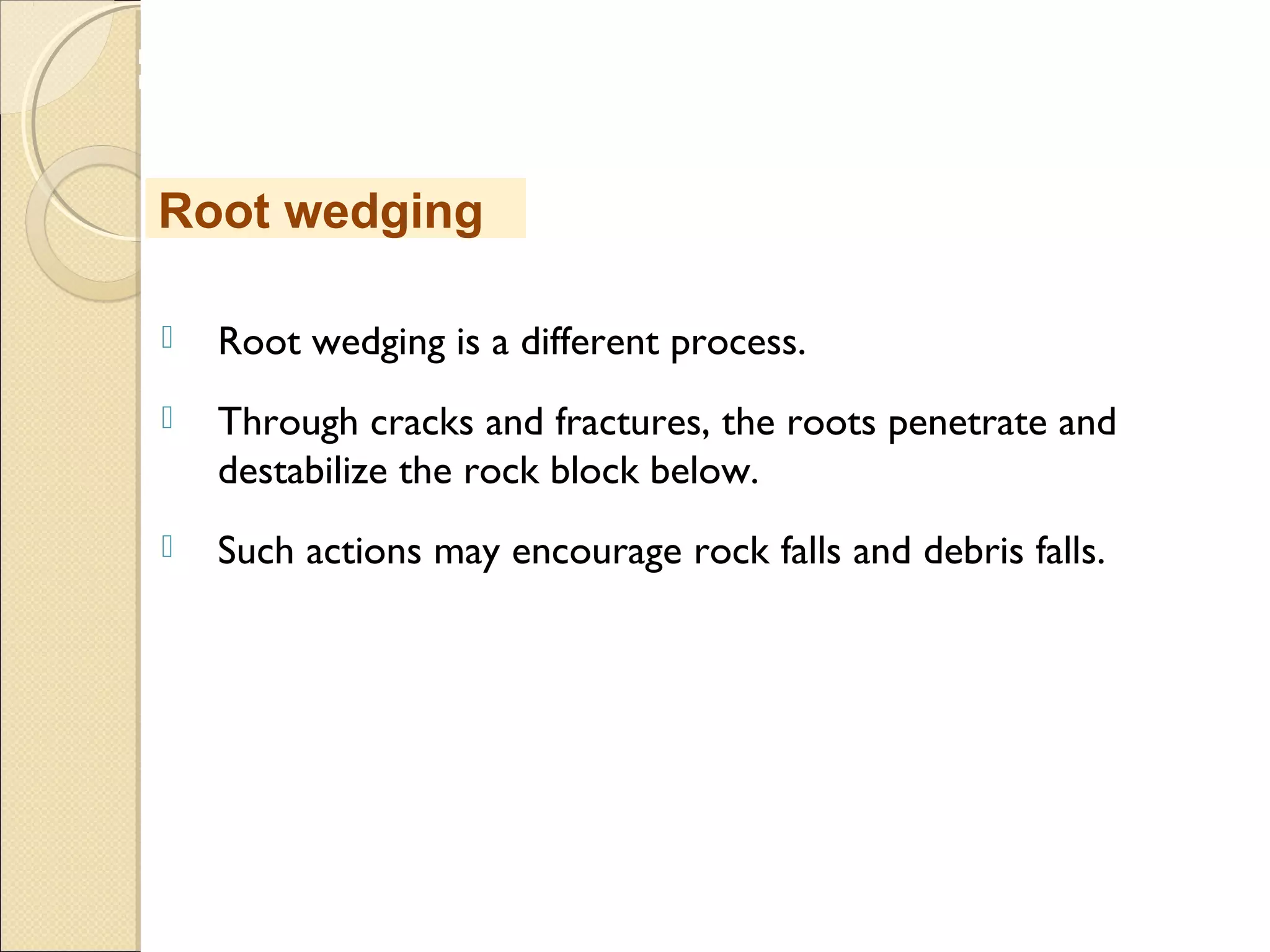 MHRD
NME-ICT
 Root wedging is a different process.
 Through cracks and fractures, the roots penetrate and
destabilize the rock block below.
 Such actions may encourage rock falls and debris falls.
Root wedging
 