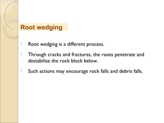 MHRD
NME-ICT
 Root wedging is a different process.
 Through cracks and fractures, the roots penetrate and
destabilize the rock block below.
 Such actions may encourage rock falls and debris falls.
Root wedging
 
