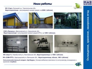 Системы хранения и принудительного охлаждения ягод | PPT