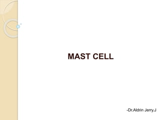 MAST CELL
-Dr.Aldrin Jerry.J
 
