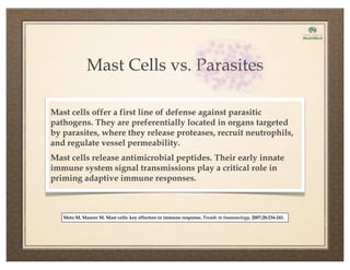 Mast Cells vs. Parasites
Mast cells offer a first line of defense against parasitic
pathogens. They are preferentially located in organs targeted
by parasites, where they release proteases, recruit neutrophils,
and regulate vessel permeability.
Mast cells release antimicrobial peptides. Their early innate
immune system signal transmissions play a critical role in
priming adaptive immune responses.
Metz M, Maurer M. Mast cells: key effectors in immune response. Trends in Immunology. 2007;28:234-241.
 
