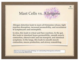 Mast Cells vs. Allergens
Allergen detection leads to mast cell histamine release, tight
junction disruption, increased permeability, and recruitment
of lymphocytes and eosinophils.
In skin, this leads to wheal and flare reactions. In the gut,
this leads to intestinal hyper-permeability, smooth muscle
contraction, altered water and ion transport, and intestinal
symptoms. In the lungs, this leads to smooth muscle
contraction, mucus production, and airway remodeling.
Moon TC, et al. Advances in mast cell biology: new understanding of heterogeneity and function.
Mucosal Immunology. 2010;3:111-128.
 
