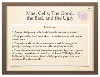 The Good
• An essential player in the body’s innate immune response.
• They patrol the front lines: skin, connective tissues and mucus
membranes.
• They release chemical alarms to summon defenses against
pathogens, allergens, toxins, and other noxious incitants.
• These chemicals include histamine, serotonin, heparin, tryptase,
chymase, chemokines, eicosanoids, cytokines (TNF-alpha, IL-6,
IL-1beta), leukotrienes, antimicrobial peptides, growth factors,
substance P, and endothelin.
Mast Cells: The Good,
the Bad, and the Ugly
 