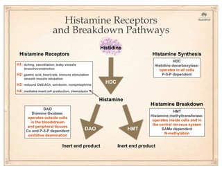 Histamine Breakdown
DAO HMT
DAO
Diamine Oxidase:
operates outside cells
in the bloodstream
and peripheral tissues
Cu and P-5-P dependent
oxidative deamination
HMT
Histamine methyltransferase:
operates inside cells and in
the central nervous system
SAMe dependent
N-methylation
Histamine Synthesis
Inert end product Inert end product
Histamine
Histidine
HDC
HDC
Histidine decarboxylase:
operates in all cells
P-5-P dependent
Histamine Receptors
H1: itching, vasodilation, leaky vessels
bronchoconstriction
H2: gastric acid, heart rate, immune stimulation
smooth muscle relaxation
H3: reduced CNS ACh, serotonin, norepinephrine
H4: mediates mast cell production, chemotaxis
Histamine Receptors
and Breakdown Pathways
 
