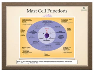 Moon TC, et al. Advances in mast cell biology: new understanding of heterogeneity and function.
Mucosal Immunology. 2010;3:111-128.
Mast Cell Functions
 