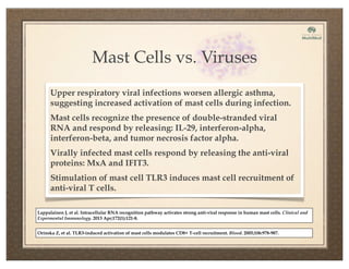 Mast Cells vs. Viruses
Upper respiratory viral infections worsen allergic asthma,
suggesting increased activation of mast cells during infection.
Mast cells recognize the presence of double-stranded viral
RNA and respond by releasing: IL-29, interferon-alpha,
interferon-beta, and tumor necrosis factor alpha.
Virally infected mast cells respond by releasing the anti-viral
proteins: MxA and IFIT3.
Stimulation of mast cell TLR3 induces mast cell recruitment of
anti-viral T cells.
Lappalainen J, et al. Intracellular RNA recognition pathway activates strong anti-viral response in human mast cells. Clinical and
Expermental Immunology. 2013 Apr;172(1):121-8.
Orinska Z, et al. TLR3-induced activation of mast cells modulates CD8+ T-cell recruitment. Blood. 2005;106:978-987.
 
