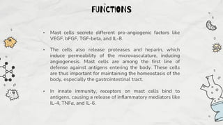 • Mast cells secrete different pro-angiogenic factors like
VEGF, bFGF, TGF-beta, and IL-8.
• The cells also release proteases and heparin, which
induce permeability of the microvasculature, inducing
angiogenesis. Mast cells are among the first line of
defense against antigens entering the body. These cells
are thus important for maintaining the homeostasis of the
body, especially the gastrointestinal tract.
• In innate immunity, receptors on mast cells bind to
antigens, causing a release of inflammatory mediators like
IL-4, TNFα, and IL-6.
FUNCTIONS
 