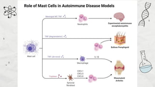 MAST CELLS.pptx