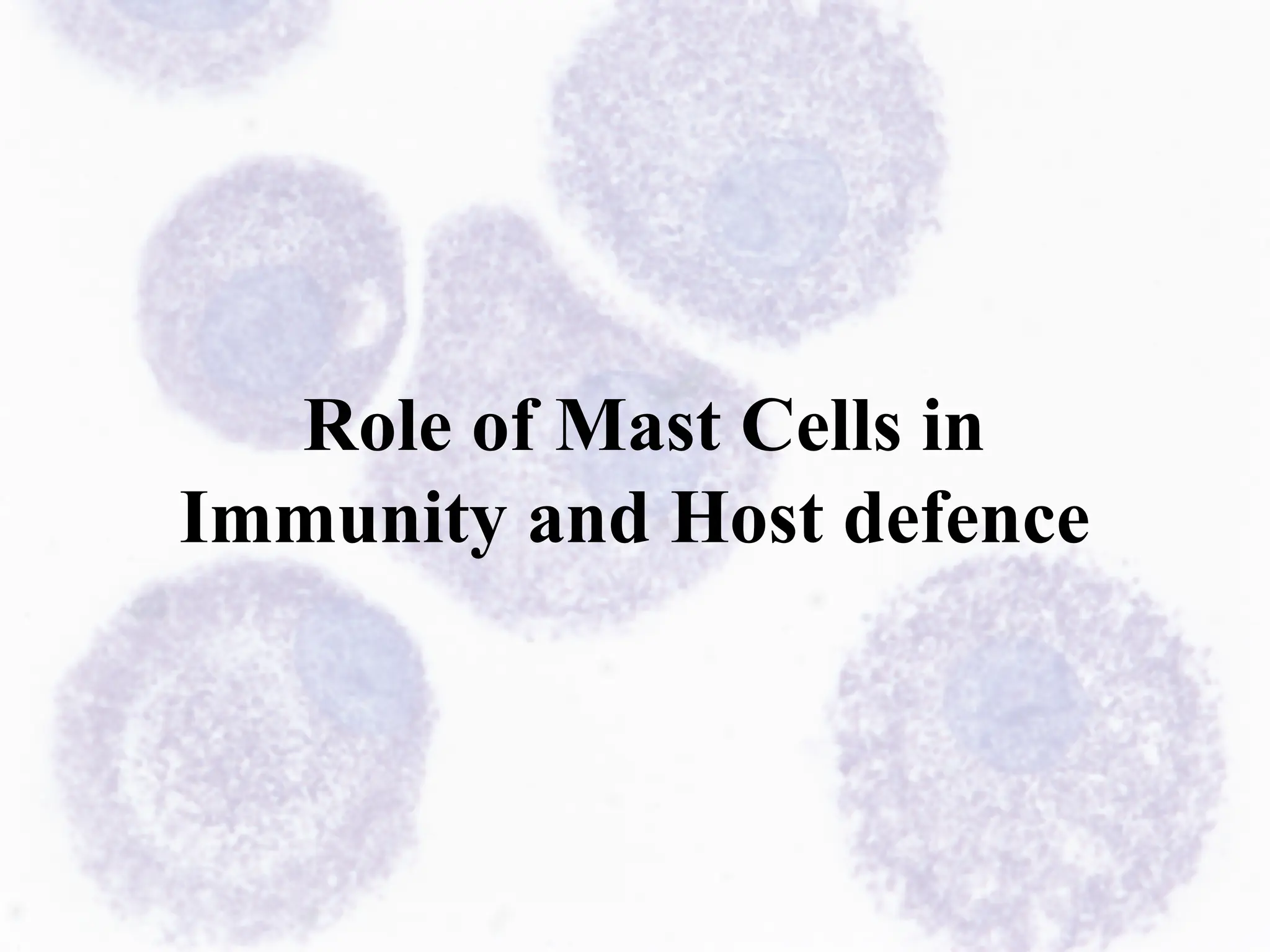 Mast Cells in health and disease by rohan.pptx