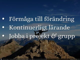 Måste alla vara it specialister