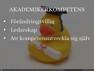 Måste alla vara it specialister