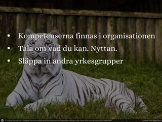 Måste alla vara it specialister