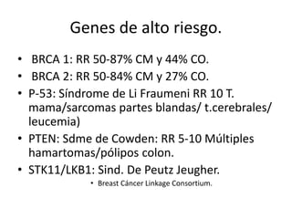 Genes de alto riesgo.
• BRCA 1: RR 50-87% CM y 44% CO.
• BRCA 2: RR 50-84% CM y 27% CO.
• P-53: Síndrome de Li Fraumeni RR 10 T.
mama/sarcomas partes blandas/ t.cerebrales/
leucemia)
• PTEN: Sdme de Cowden: RR 5-10 Múltiples
hamartomas/pólipos colon.
• STK11/LKB1: Sind. De Peutz Jeugher.
• Breast Cáncer Linkage Consortium.
 