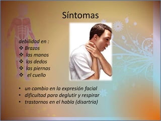 la mímica facial).En segundo grado afecta a los músculos involuntarios como:músculos respiratorios, teniendo como resultado una crisis miastenia produce acortamiento de la respiración dificultada inspiratoriaTosSíntomasMúsculos de los miembros superiores e inferiores