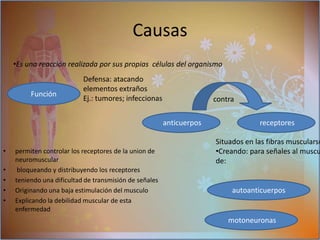 El extensor largo de los dedos  extraoculares (MOE) Determinado:Alteraciones metabólicas: demostrar que sirven para explicar las diferencias de afectación clínica del músculo humanos.afectan la  función muscular: teniendo alteraciones en sus genes relacionados con la respuesta de estrés y el metabolismo.