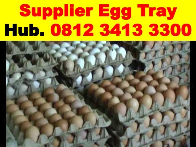 0812 3413 3300 Pabrik Egg Tray  Telur  Ayam 